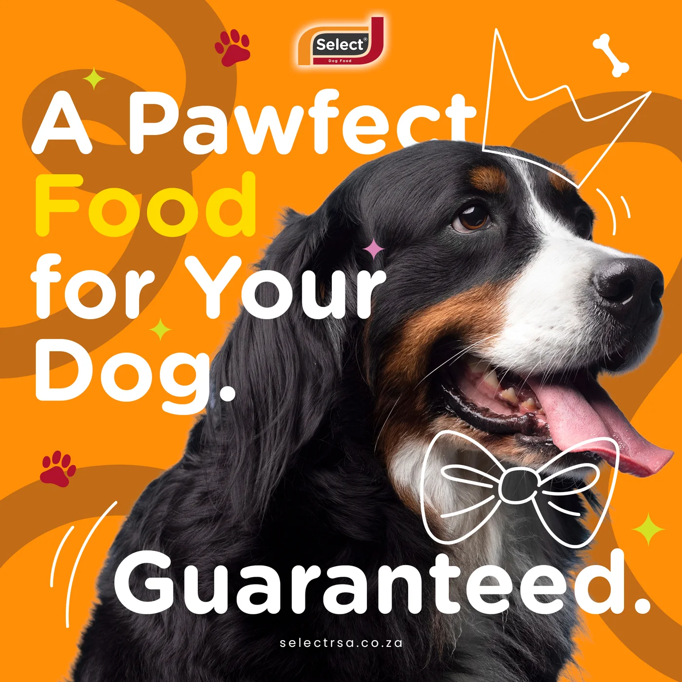 Select Dog Food flyer design