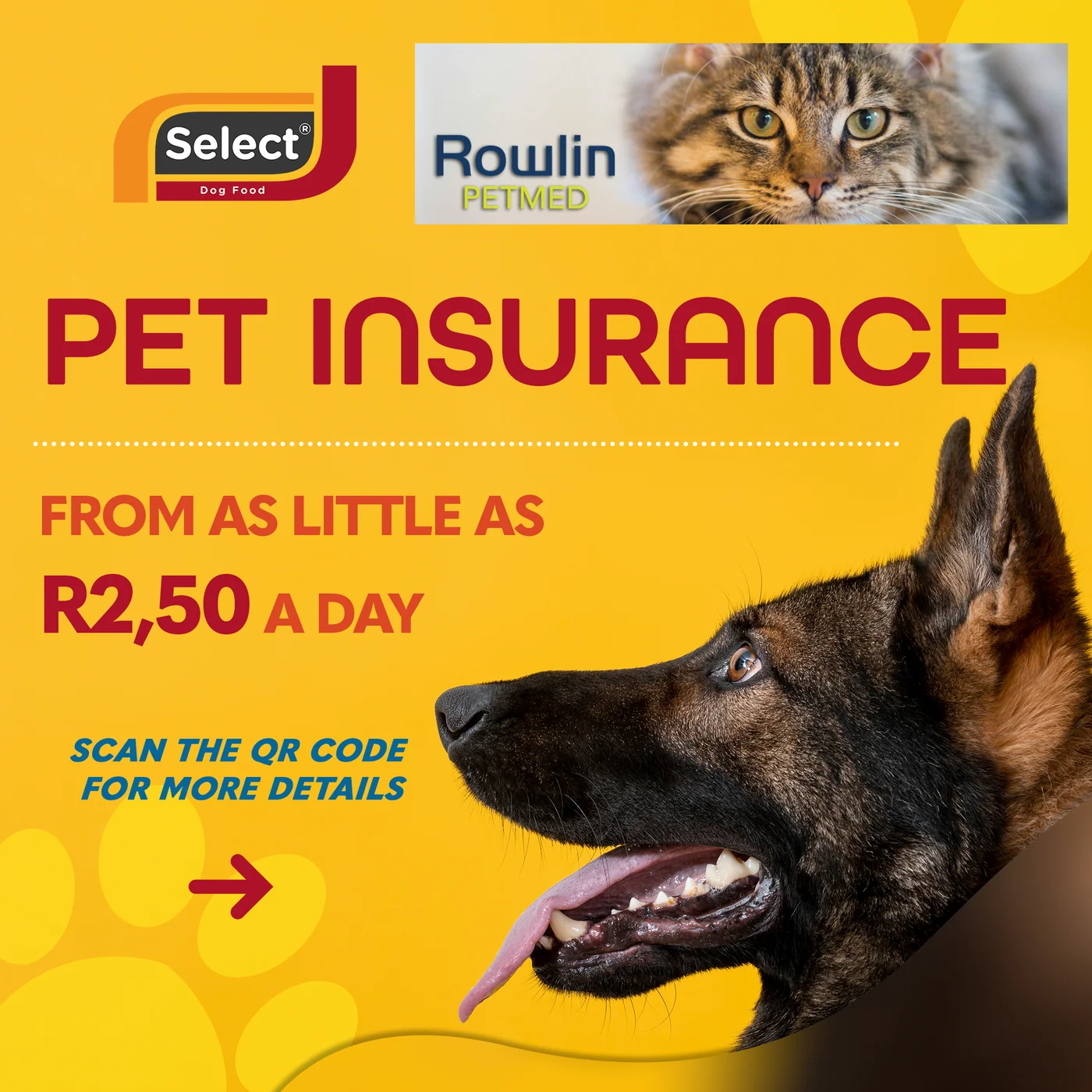 Select Dog Food social post 1.2